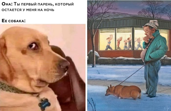 Самые смешные мемы и приколы