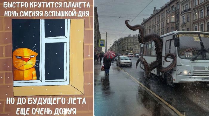 Смешные фото приколы для хорошего настроения