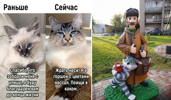 Смешные картинки с надписями и прикольные фото, от которых хочется улыбнуться