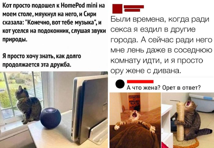 Смешные комментария из приколы социальных сетей