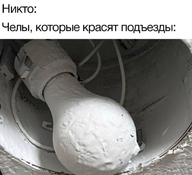 Лучшие фото приколы и смешные картинки