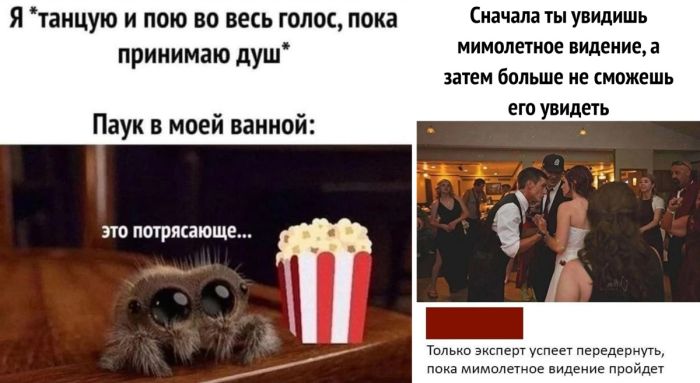 Новые смешные приколы - лучшие картинки и комментарии