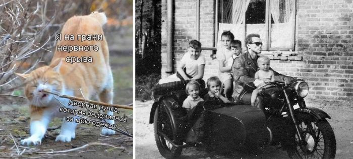 Подборка до слёз смешных приколов