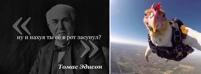 Подборка смешных фото приколов