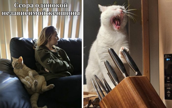 Прикольная подборка фото и смешных картинок