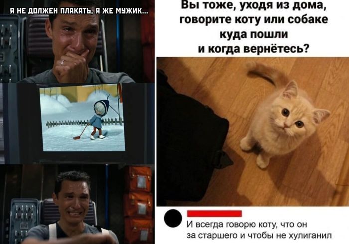 Веселые комментария и колкие приколы социальных Сетей