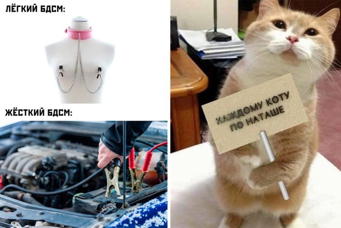 Оригинальная подборка прикольных Картинок и Фото