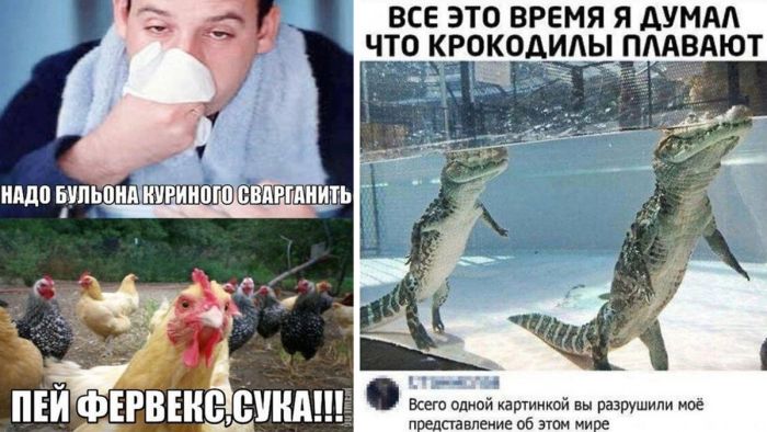 Подборка новых прикольных картинок и комментариев