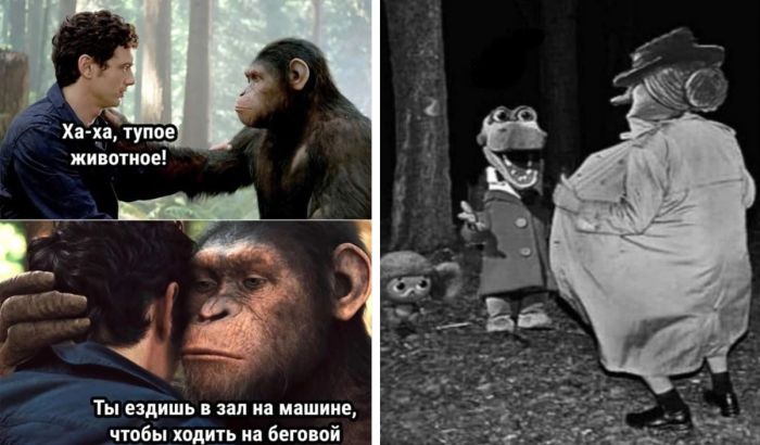 Подборка смешных приколов на понедельник