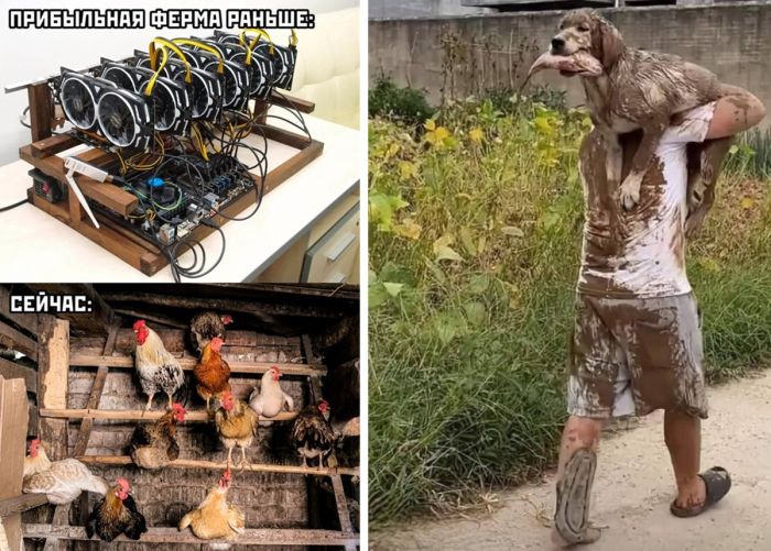 Прикольные Фото приколы и веселые Картинки с надписями