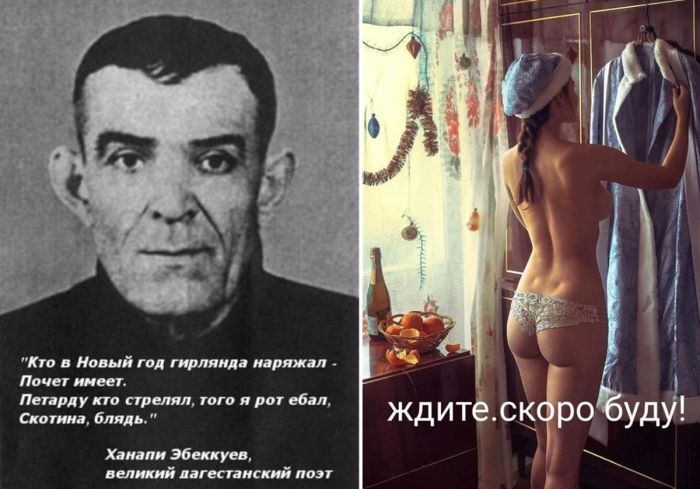 Прикольные картинки и фото для настроения