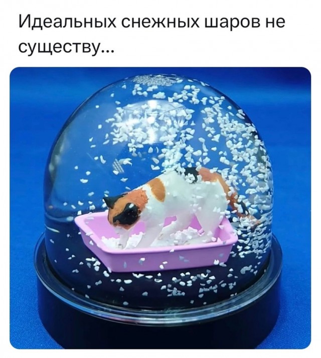 Смешные картинки, фото и мемы из социальных сетей. Прикольный микс #2680