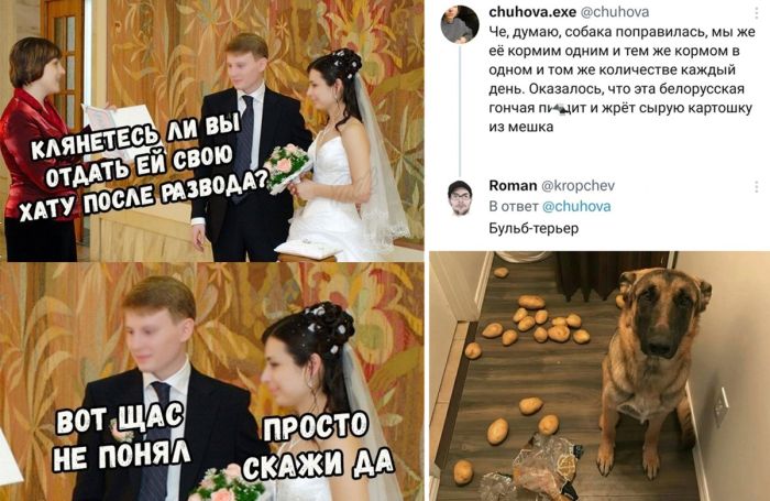 Картинки для пользователей с хорошим чувством Юмора