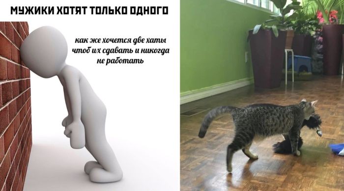 Лучшие фотоприколы и до слез смешные картинки с Надписями