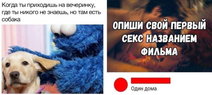 Прикольные картинки и веселые комментарии