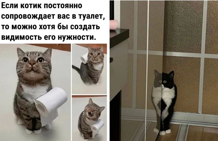 Смешные мемы и приколы на понедельник