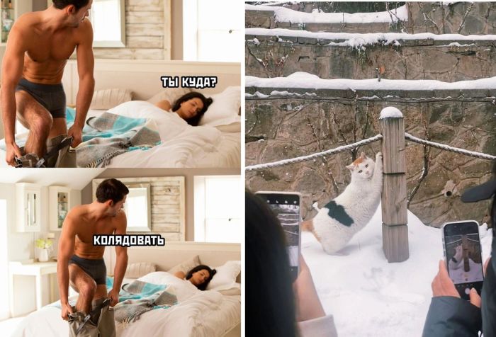 Свежая подборка прикольных Картинок и Фото