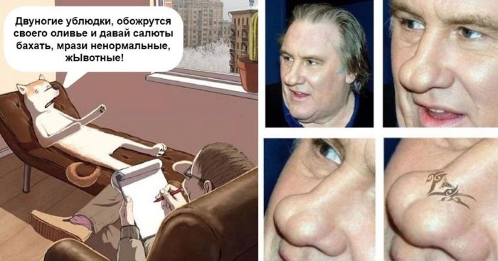 Забавные картинки и фото в новых приколах