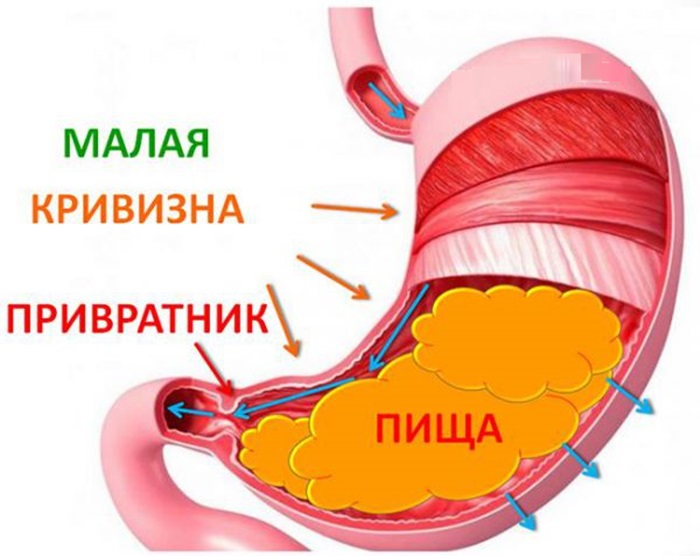 Как нужно пить воду на протяжении дня