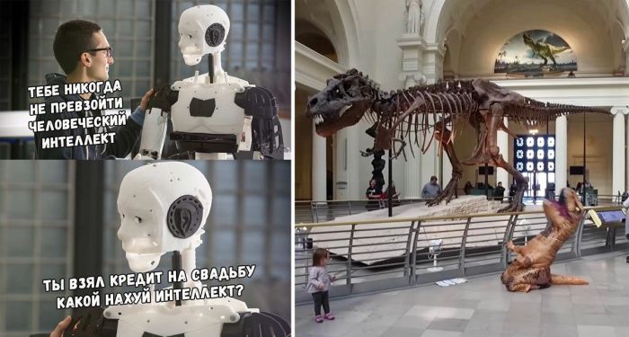 Лучшие позитивные фото приколы и картинки с надписями