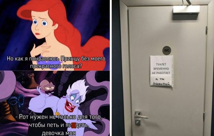 Подборка прикольных фото на пятницу