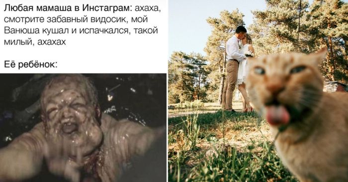 Подборка прикольных картинок и Фото для Настроения