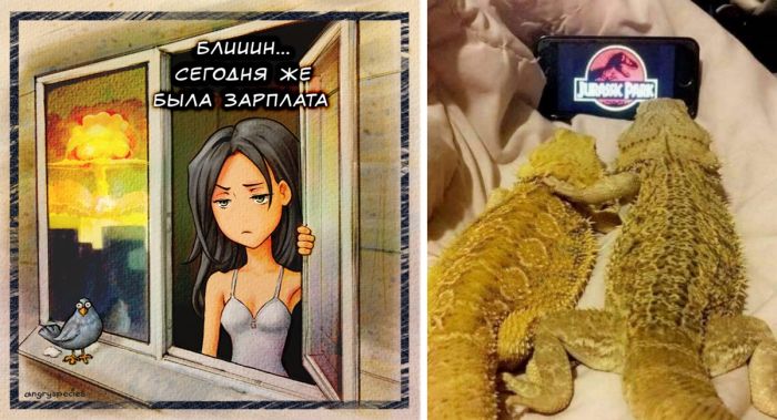 Подборка смешных мемов и фото для улыбки