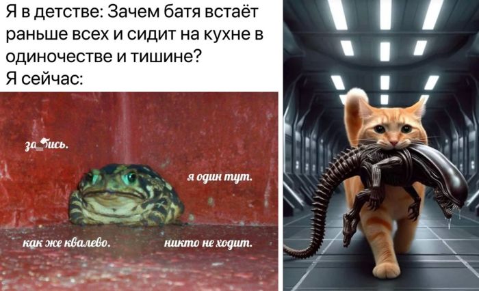 Позитивные фото и прикольные картинки