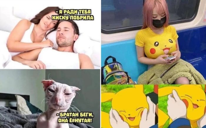 Позитивные картинки и фото с Юмором