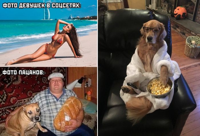 Сборник новых смешных и Фото и Мемов