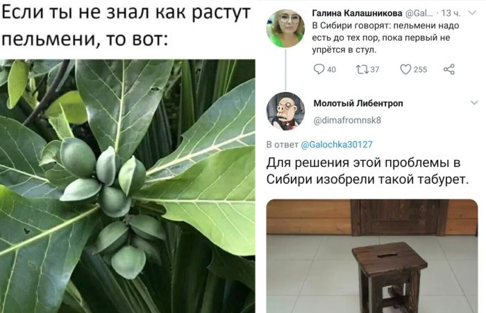 Смешные Мемы и Комментарии из Соцсетей