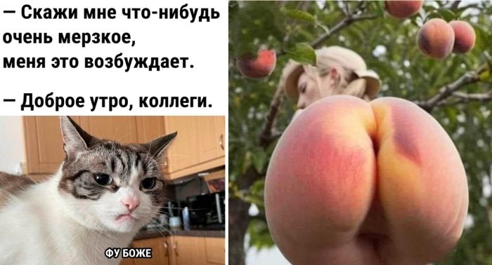 Картинки с надписями и фото-приколы для хорошего настроения