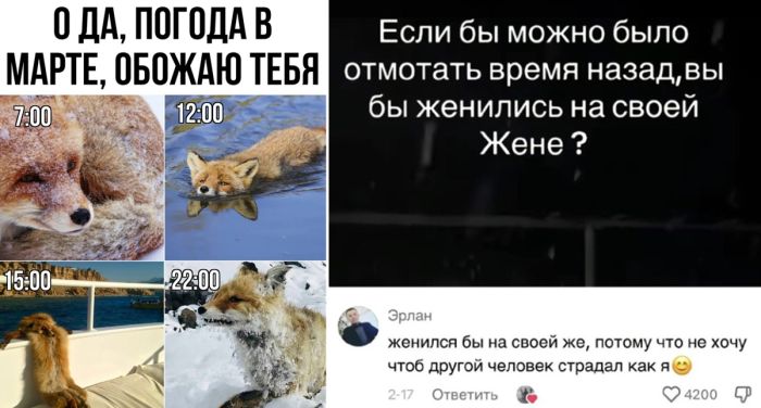 Мемы, приколы и смешные комментарии для позитива