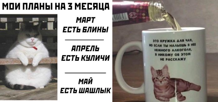 Мемы, приколы и весёлые фотографии для заряда позитивом