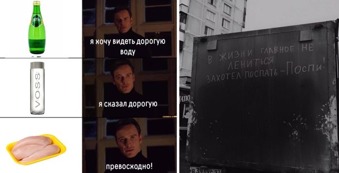 Мемы, приколы и весёлые картинки для заряда позитивом