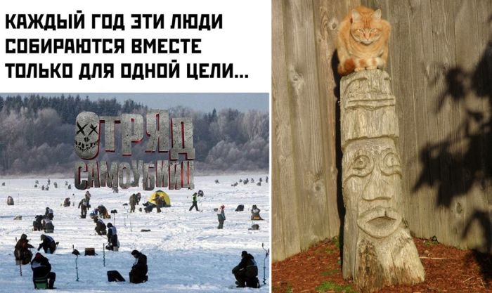 Сборник самых смешных фото приколов и картинок с надписями