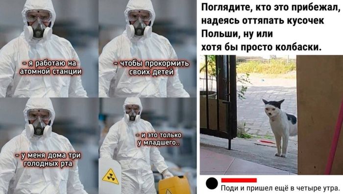 Смешные комментарии и прикольные картинки