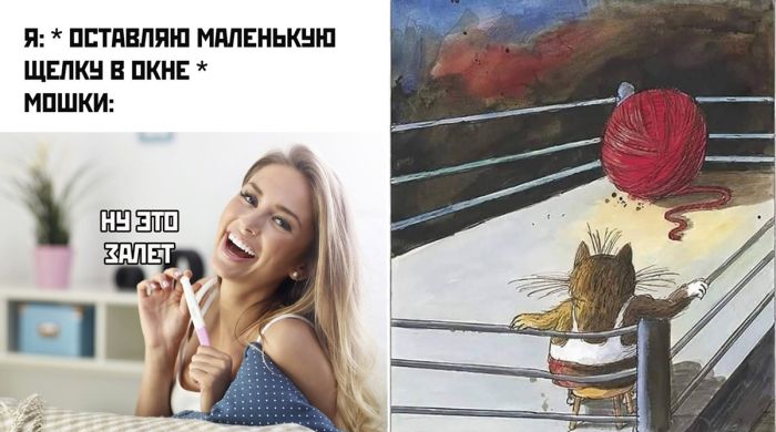 До слёз смешные приколы в картинках и фотографиях