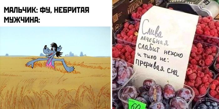 Картинки и смешные фотографии в подборке