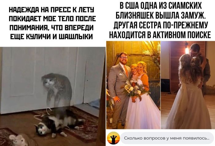 Много смешных картинок и комментарий из соцсетей