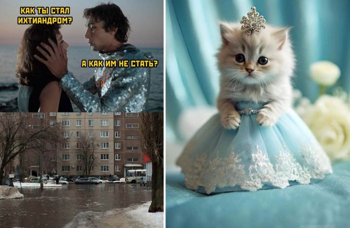 Новые смешные мемы и фотографии