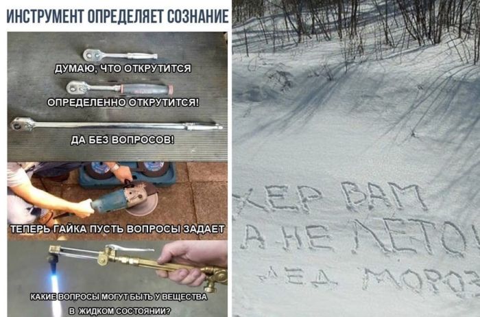 Подборка новых приколов для настроения