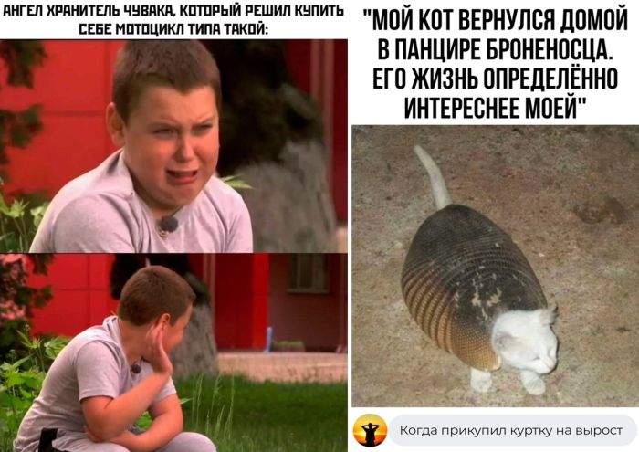 Подборка прикольных картинок и комментариев на день