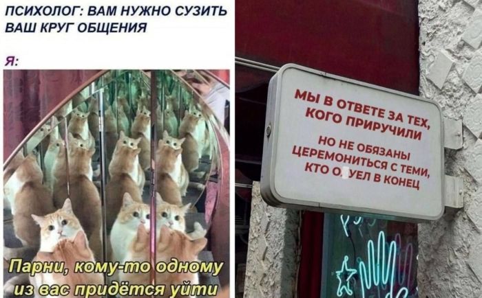 Подборка смешных фото и картинок в мемах