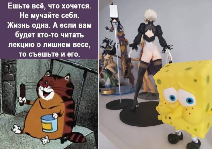 Смешные фото приколы для поднятия настроения в понедельник