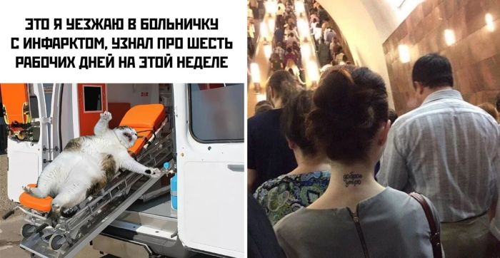 Смешные картинки и прикольные фото для хорошего настроения