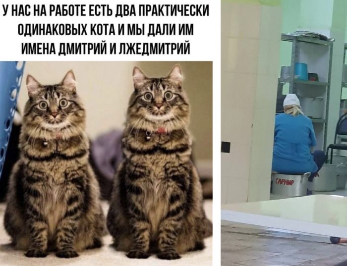 Смешные фото приколы для отличного начала дня