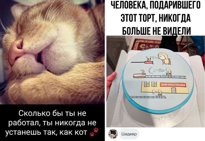 Смешные картинки с надписями и комментариями