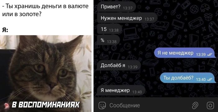 Смешные картинки с надписями и комментариями из соцсетей