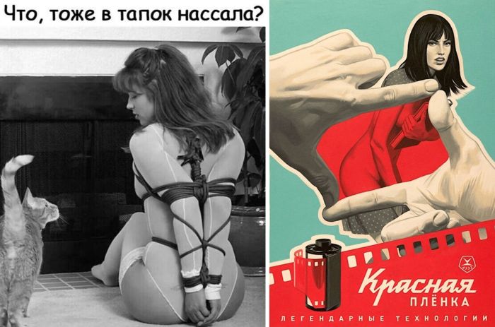 Смешные прикольные картинки и фото для хорошего настроения